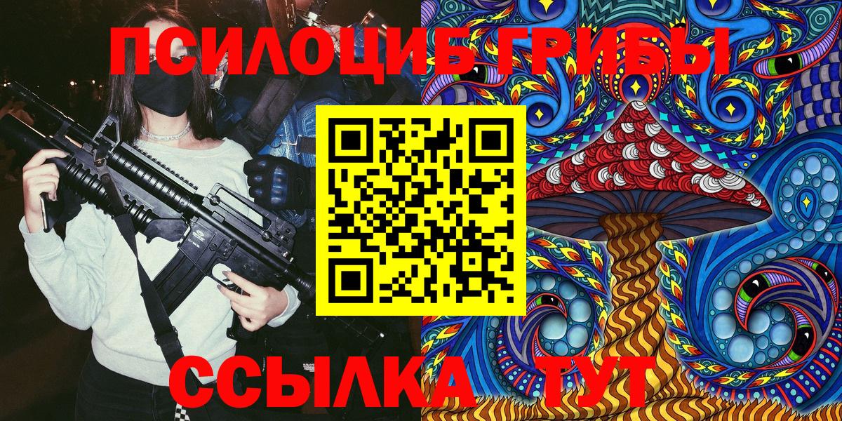 Зима  Псилоцибиновые грибы Psilocybe  Вход с VPN 