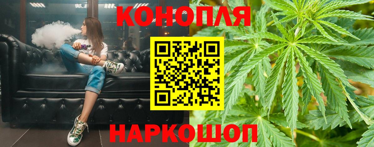 Бошки Шишки AK-47  Конопля AK-47  Зима  Вход с VPN  Каннабис White Widow 